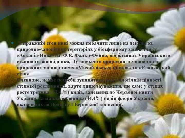  Справжній степ нині можна побачити лише на декількох природно-заповідних територіях у біосферному заповіднику