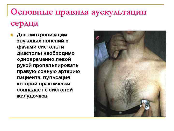 Основные правила аускультации сердца n Для синхронизации звуковых явлений с фазами систолы и диастолы