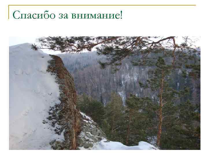 Спасибо за внимание! 