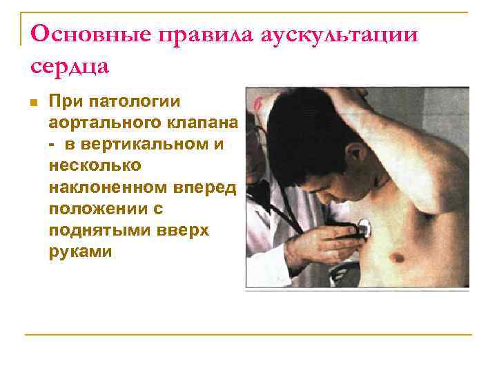 Основные правила аускультации сердца n При патологии аортального клапана в вертикальном и несколько наклоненном