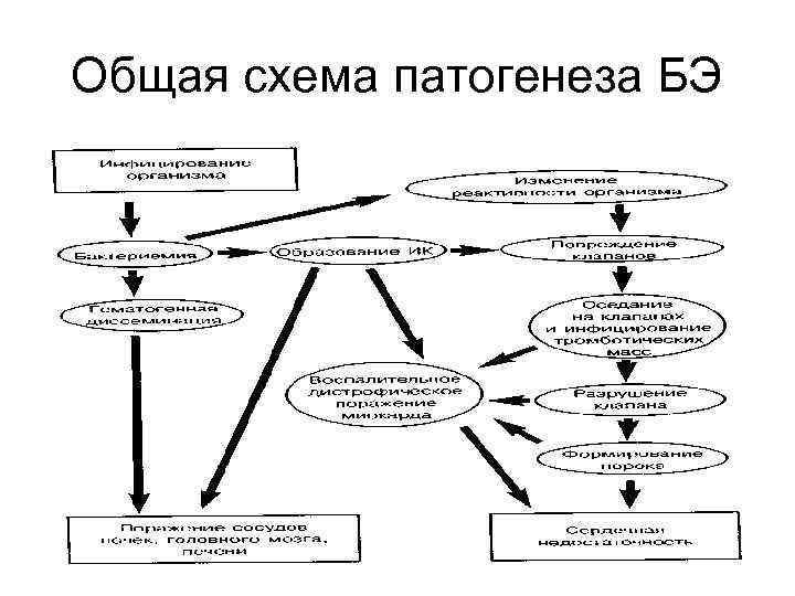 Общая схема патогенеза БЭ 