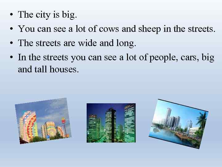  • • The city is big. You can see a lot of cows