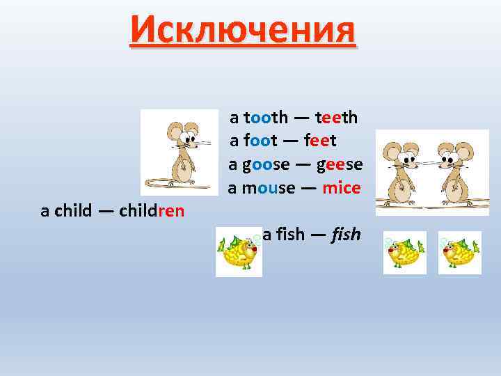 Исключения a child — children a tooth — teeth a foot — feet a