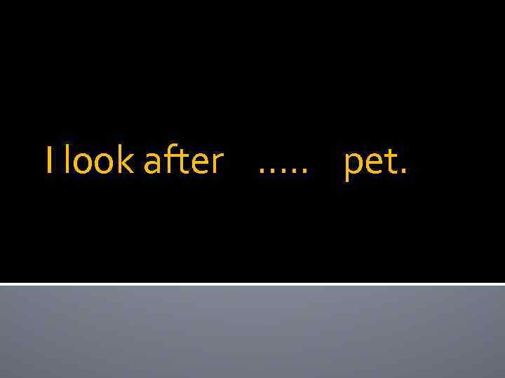 I look after …. . pet. 