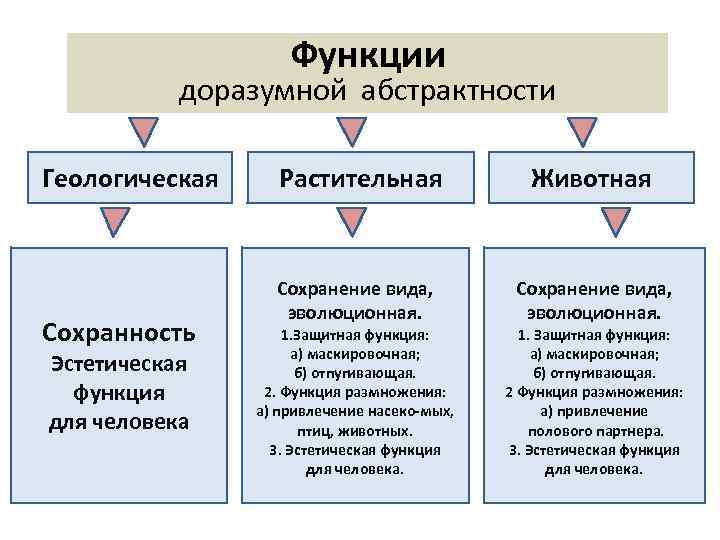 Функции доразумной абстрактности Геологическая Сохранность Эстетическая функция для человека Растительная Животная Сохранение вида, эволюционная.