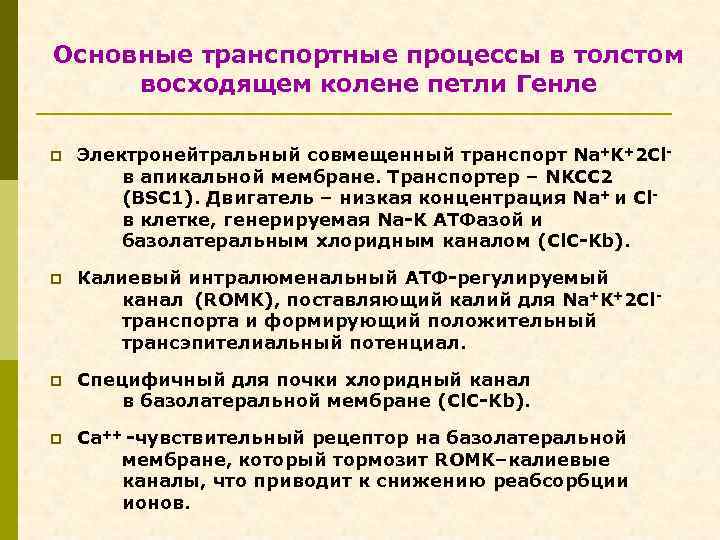 Основные транспортные процессы в толстом восходящем колене петли Генле p Электронейтральный совмещенный транспорт Na+K+2