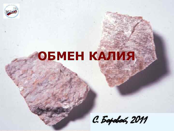 ОБМЕН КАЛИЯ С. Боровой, 2011 