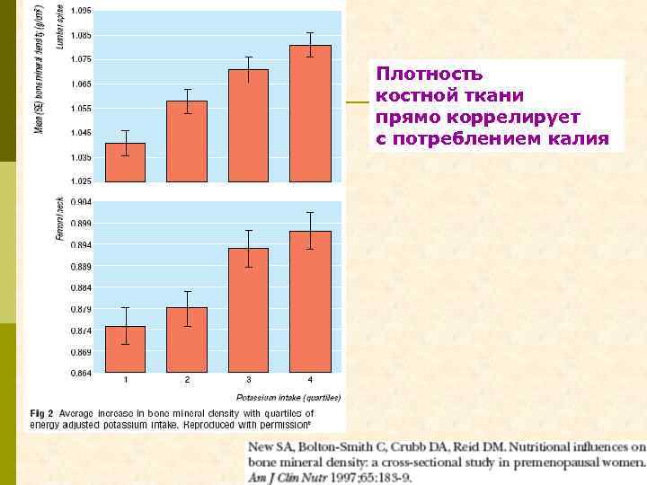 Плотность костной ткани прямо коррелирует с потреблением калия 