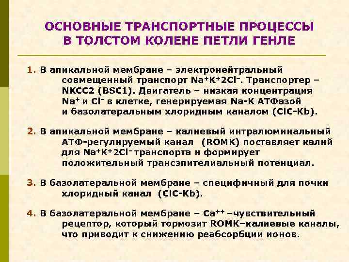 ОСНОВНЫЕ ТРАНСПОРТНЫЕ ПРОЦЕССЫ В ТОЛСТОМ КОЛЕНЕ ПЕТЛИ ГЕНЛЕ 1. В апикальной мембране – электронейтральный
