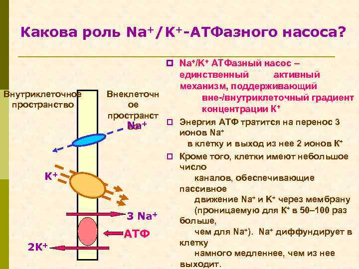 Активный механизм