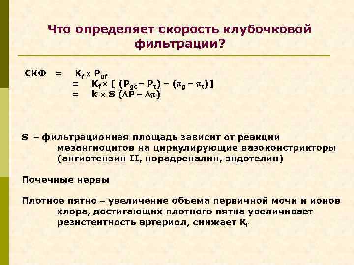 Что определяет скорость клубочковой фильтрации? СКФ = Kf Puf = Kf [ (Pgc Pt)