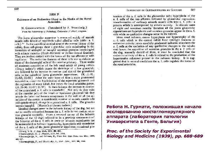Работа Н. Гурмати, положившая начало исследованию юкстагломерулярного аппарата (лаборатория патологии Университета в Генте, Бельгия)