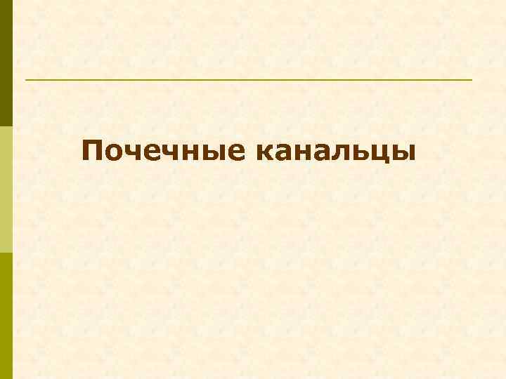 Почечные канальцы 