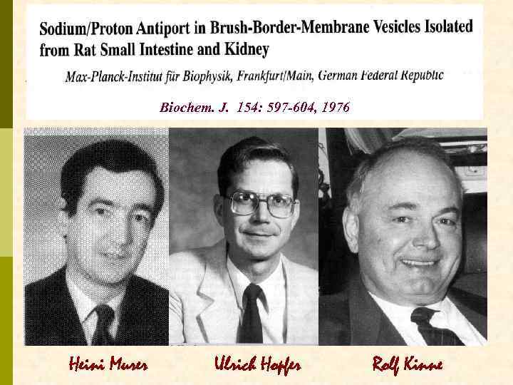 Biochem. J. 154: 597 -604, 1976 Heini Murer Ulrich Hopfer Rolf Kinne 