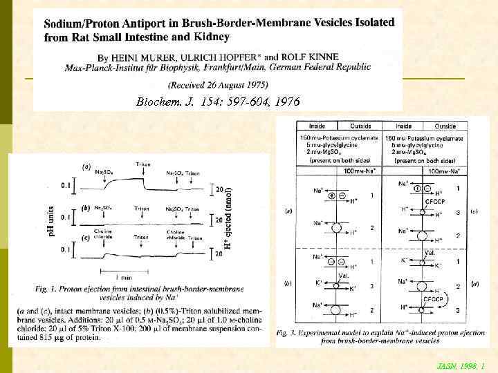 Biochem. J. 154: 597 -604, 1976 JASN, 1998, 1 