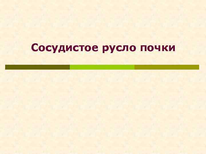 Сосудистое русло почки 