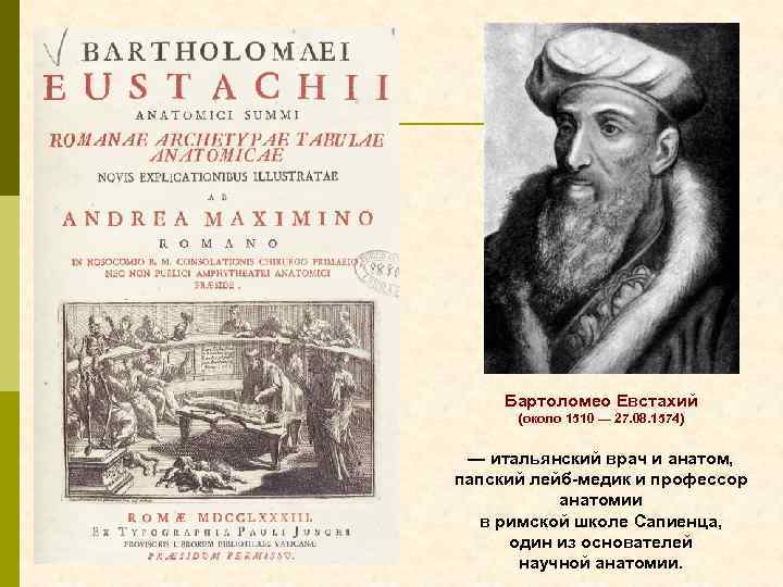 Бартоломео Евстахий (около 1510 — 27. 08. 1574) — итальянский врач и анатом, папский