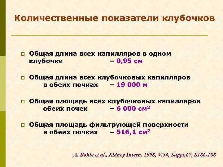 Количественные показатели клубочков p Общая длина всех капилляров в одном клубочке – 0, 95