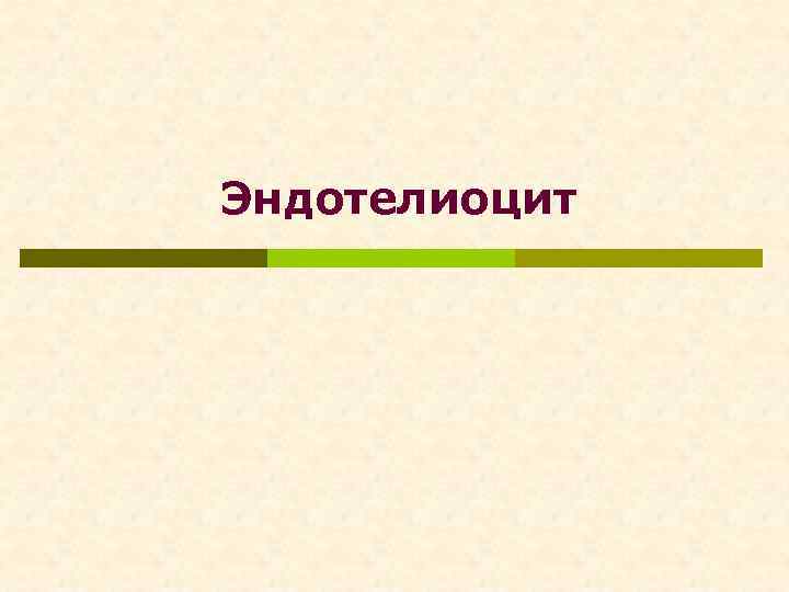 Эндотелиоцит 