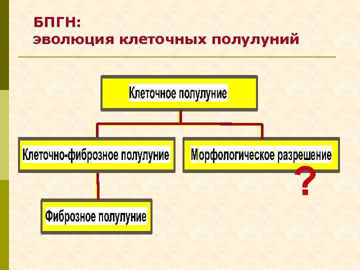 БПГН: эволюция клеточных полулуний ? 