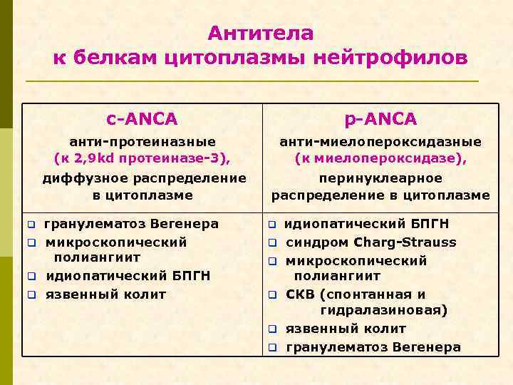 Антитела к белкам цитоплазмы нейтрофилов c-ANCA р-ANCA анти-протеиназные (к 2, 9 kd протеиназе-3), анти-миелопероксидазные