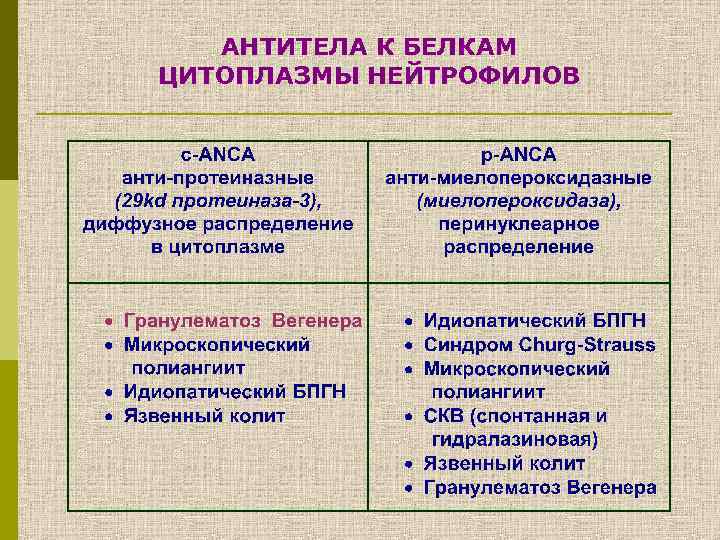 АНТИТЕЛА К БЕЛКАМ ЦИТОПЛАЗМЫ НЕЙТРОФИЛОВ 