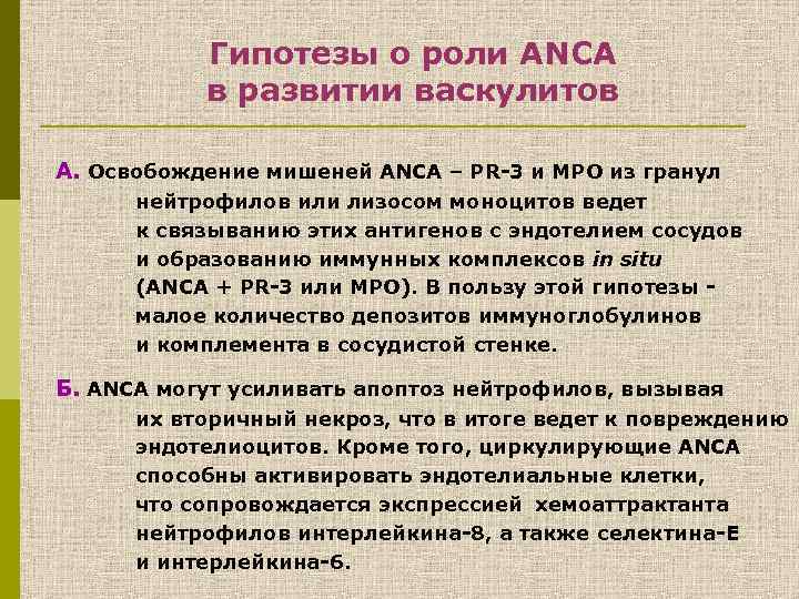 Гипотезы о роли ANCA в развитии васкулитов А. Освобождение мишеней ANCA – PR-3 и