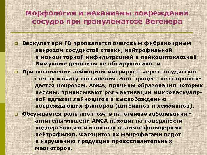 Морфология и механизмы повреждения сосудов при гранулематозе Вегенера p Васкулит при ГВ проявляется очаговым