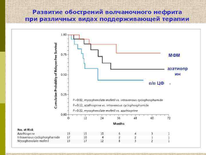 Развитие обострений волчаночного нефрита при различных видах поддерживающей терапии МФМ азатиопр ин в/в ЦФ