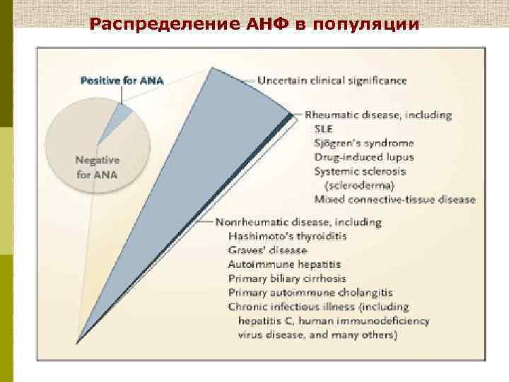 Распределение АНФ в популяции 