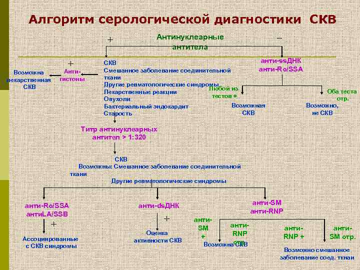 Алгоритм серологической диагностики СКВ + + Возможна лекарственная СКВ Антигистоны Антинуклеарные антитела _ анти-ss.