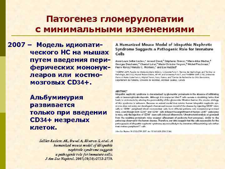 Патогенез гломерулопатии с минимальными изменениями 2007 – Модель идиопатического НС на мышах путем введения