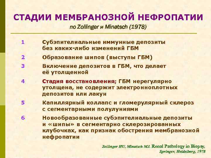СТАДИИ МЕМБРАНОЗНОЙ НЕФРОПАТИИ по Zollinger и Minatsch (1978) 1 Субэпителиальные иммунные депозиты без каких-либо