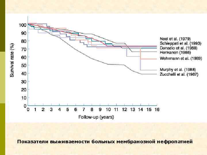 Показатели выживаемости больных мембранозной нефропатией 