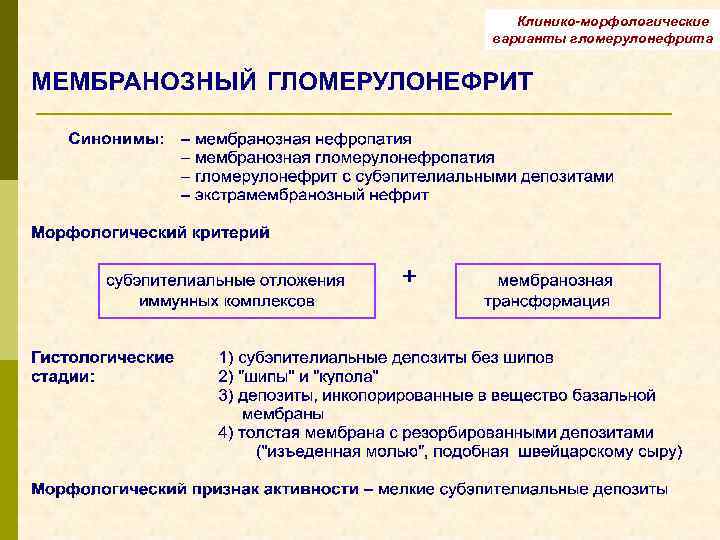 Клинико-морфологические варианты гломерулонефрита 