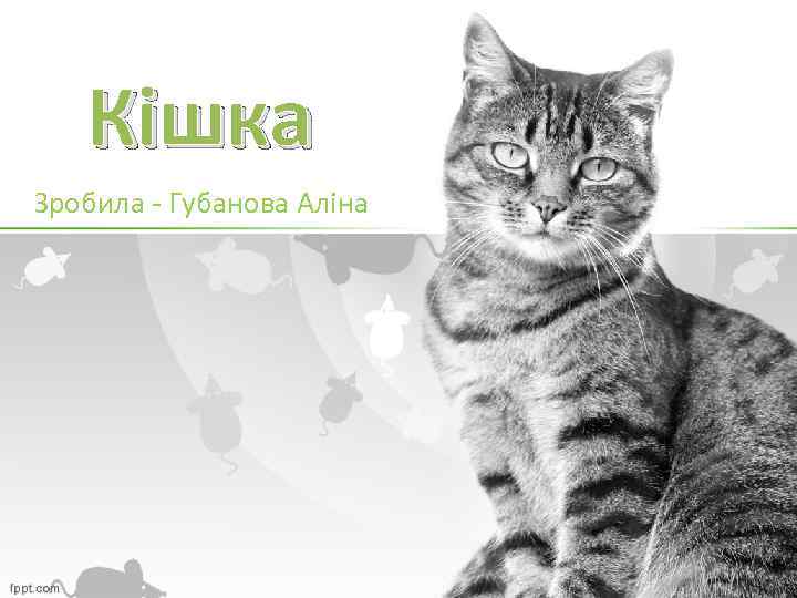 Кішка Зробила - Губанова Аліна 