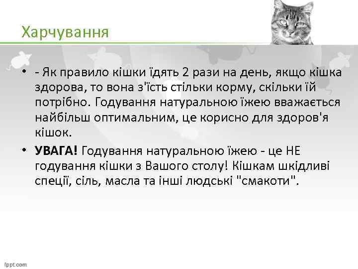 Харчування • - Як правило кішки їдять 2 рази на день, якщо кішка здорова,
