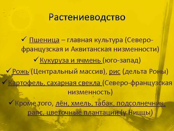 Растениеводство ü Пшеница – главная культура (Северофранцузская и Аквитанская низменности) ü Кукуруза и ячмень