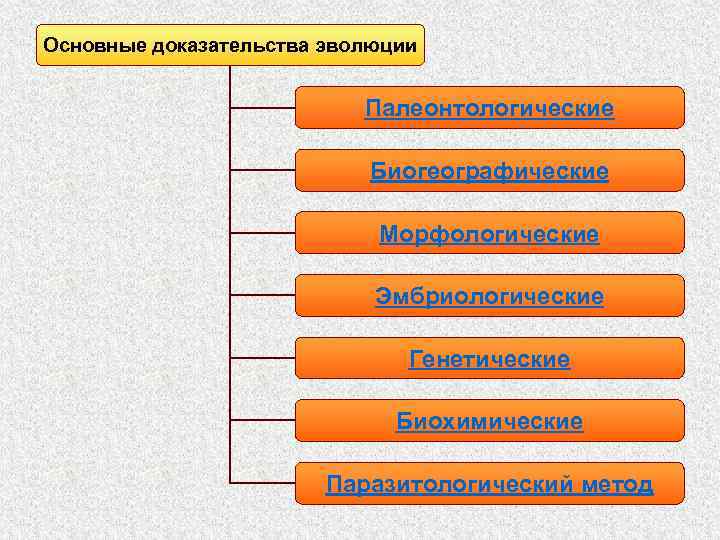 Основные доказательства эволюции Палеонтологические Биогеографические Морфологические Эмбриологические Генетические Биохимические Паразитологический метод 