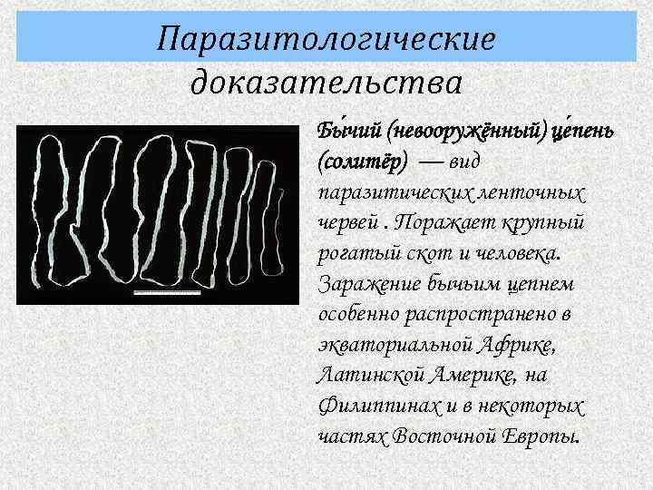 Лабораторная работа паразитические черви 8 класс. Паразитологические доказательства эволюции. Паразитологические методы доказательства эволюции. Паразитологические доказательства эволюции примеры. Паразитологические доказательства эволюции кратко.