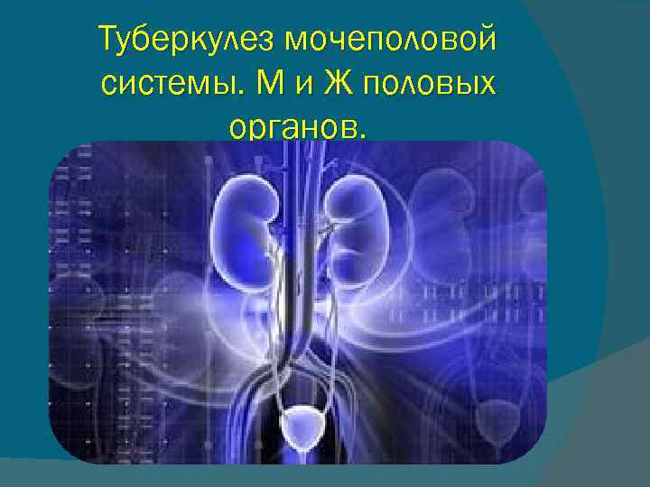 Туберкулез мочевой системы. Туберкулёз мочеполовой системы. Туберкулез органов мочеполовой системы. Туберкулез органов мочевыделительной системы. Туберкулёз мочевыводящей системы.