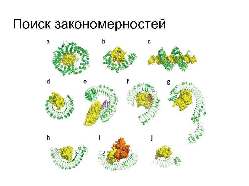 Поиск закономерностей 