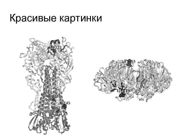 Красивые картинки 