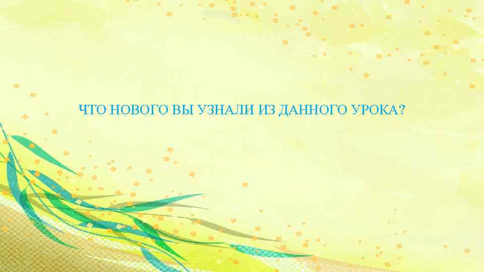 ЧТО НОВОГО ВЫ УЗНАЛИ ИЗ ДАННОГО УРОКА? 