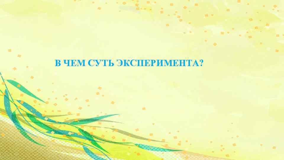 В ЧЕМ СУТЬ ЭКСПЕРИМЕНТА? 