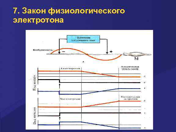 Электротон. Электротон физиология. Закон физиологического электротона. Закон физиологического электронна физиология. Катодическая депрессия физиология.