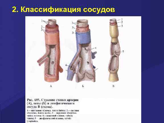 2. Классификация сосудов 