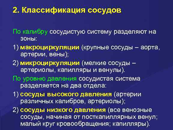 2. Классификация сосудов По калибру сосудистую систему разделяют на зоны: 1) макроциркуляции (крупные сосуды