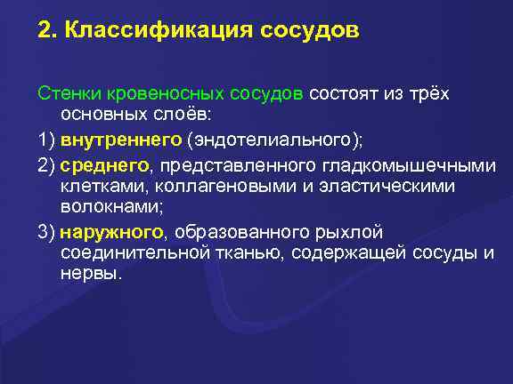 2. Классификация сосудов Стенки кровеносных сосудов состоят из трёх основных слоёв: 1) внутреннего (эндотелиального);