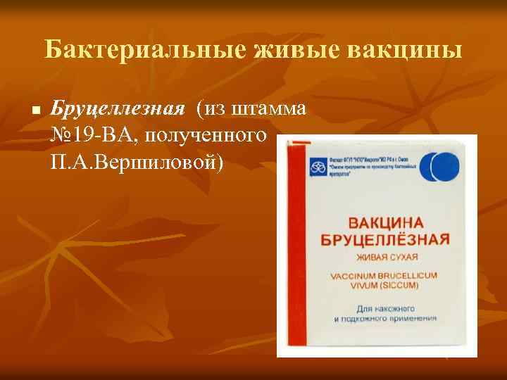 Бактериальные живые вакцины n Бруцеллезная (из штамма № 19 -ВА, полученного П. А. Вершиловой)